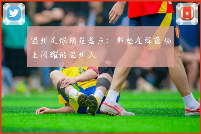 温州足球明星盘点：那些在绿茵场上闪耀的温州人